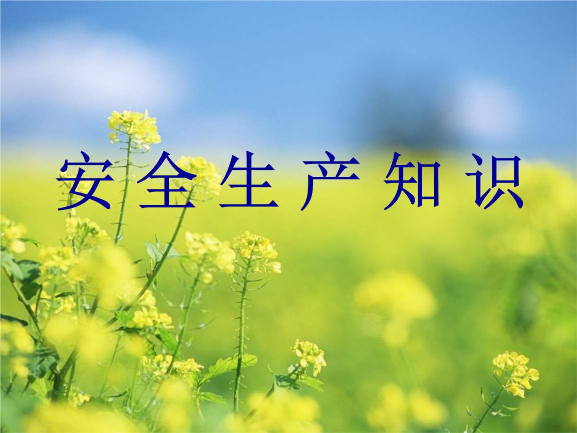 污泥干燥機安全生產(chǎn)